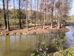 -森波拉奇妙世界