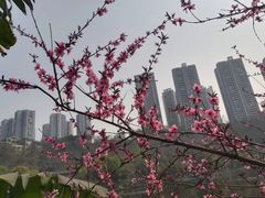 -重庆彩云湖湿地公园