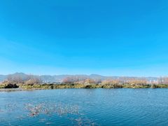 -海埂大坝