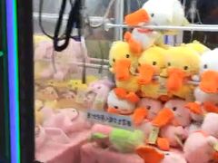 -福顺祥大盘鸡(临潼店)
