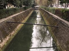 -神仙树公园