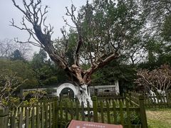 -南山风景名胜区