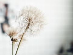 -隹木咖啡馆(宝龙广场店)