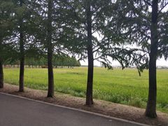 -嘉北郊野公园