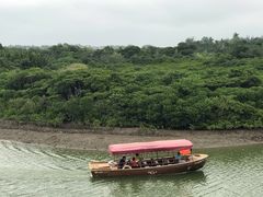 -东寨港红树林旅游区