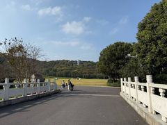-羊山湖公园