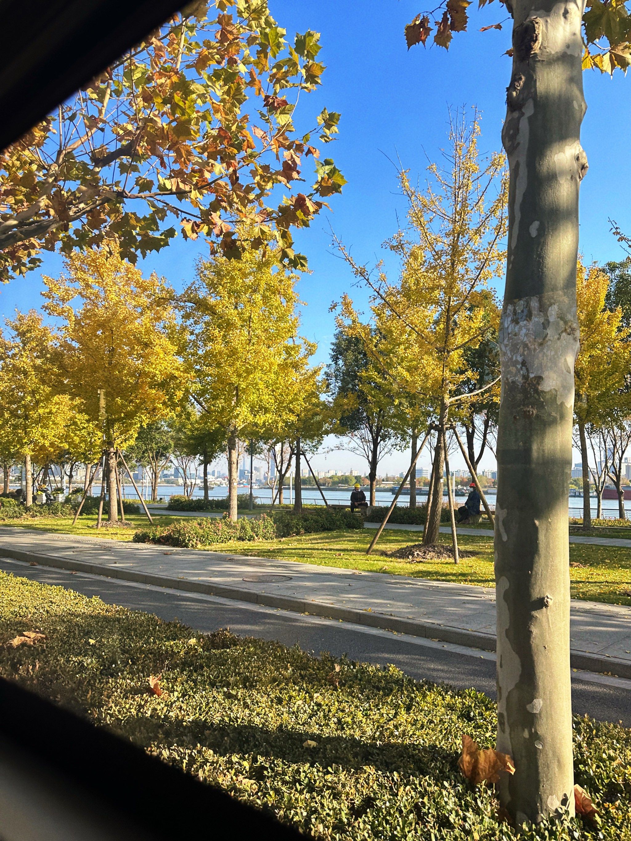 公交车随手拍江边美景