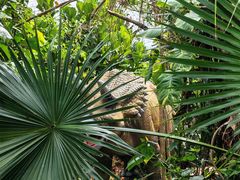 -海南热带野生动植物园
