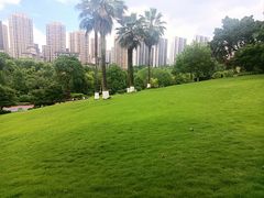 -龙头寺公园