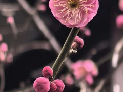 -杭州花家山庄