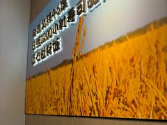 -吉野家(回龙观同成街店)