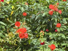 -人民公园(罗湖区)