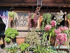 -龙姐私房菜(和顺古镇店)