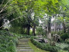 -墨池公园