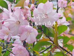 -徐家汇公园