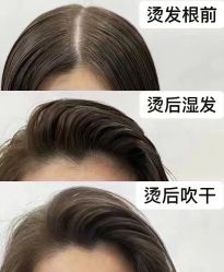 点击看大图 -IP SALON