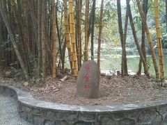 -广西壮族自治区药用植物园