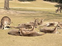 -上海野生动物园