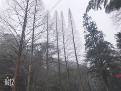 -白鹿洞书院
