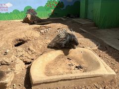 -石家庄市动物园