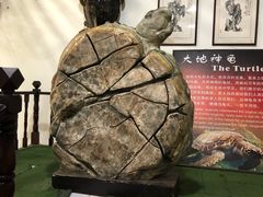 景点-游龙石文化科普馆