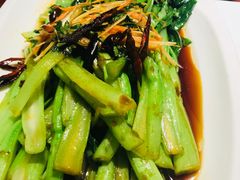 -老长春肉馆(创业大街店)