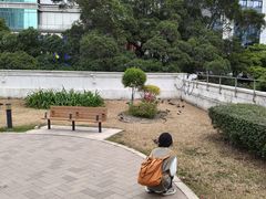 -九龙公园