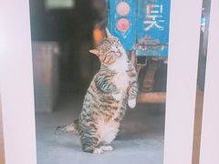 -卢米埃影城(合生广场IMAX店)