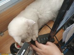 -青春加萌照相馆