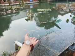 -深业半汤御泉庄温泉