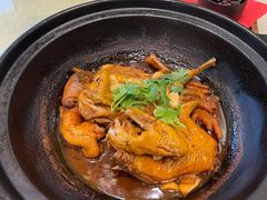 红烧土鸡-奉城家宴(印象奉化店)