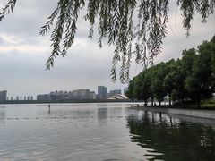 -天鹅湖体育公园