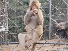 景点-北宫国家森林公园