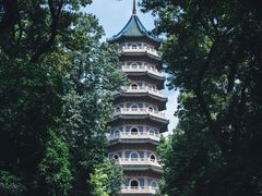 -灵谷景区