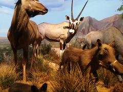 -贝林大翅鲸简餐厅(国家海洋博物馆店)