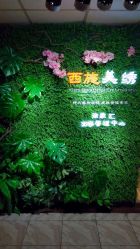 -西施无菌半永久纹绣眉眼影唇轻增发纹发际线