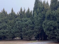 -秦始皇帝陵博物院-丽山园