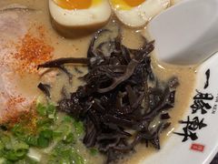 -一豚轩·烧鸟·豚骨拉面(五四路店)