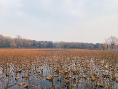 -长春市南湖公园