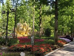 -东平国家森林公园