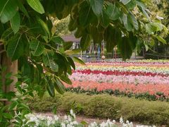 -广东花都香草世界旅游度假区