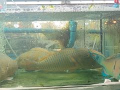 -班赞海鲜市场