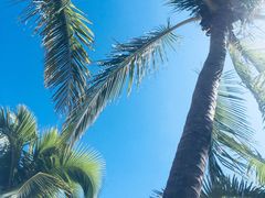 -瑰丽酒店·海吧·天际下午茶·现场DJ·天台酒吧