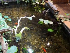 -邈墨茶馆(大兜路1号店)