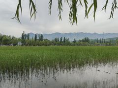 -乌素图国家森林公园