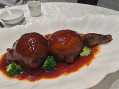 -丁老爷子苏香圆