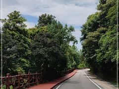 -广州市石门国家森林公园