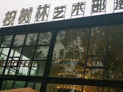 -桉树林A coffee 森林餐厅(三圣乡店)
