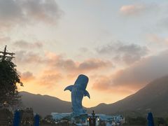 -珠海长隆海洋王国