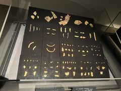 -金沙遗址博物馆
